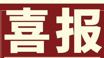 強(qiáng)勢(shì)開新局 勇奪開門紅 | 靈科超聲波Q1業(yè)績(jī)勁增14.96%創(chuàng)佳績(jī)